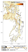 LiveOcean surface currents