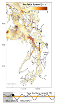 LiveOcean surface currents