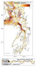 LiveOcean surface currents