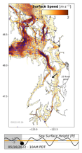 LiveOcean surface currents