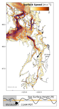 LiveOcean surface currents