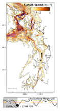 LiveOcean surface currents