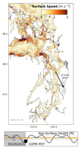 LiveOcean surface currents