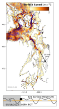 LiveOcean surface currents