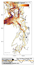 LiveOcean surface currents