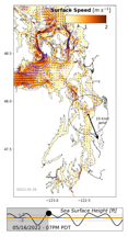 LiveOcean surface currents